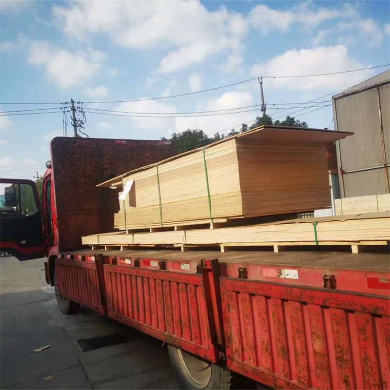 肥乡区桥西区物流专线的多元运输世界